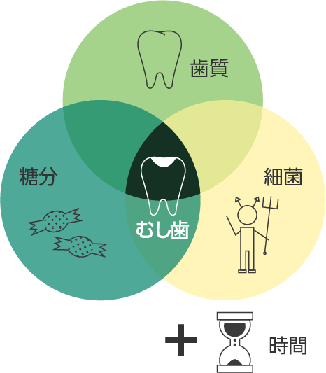 むし歯の原因について